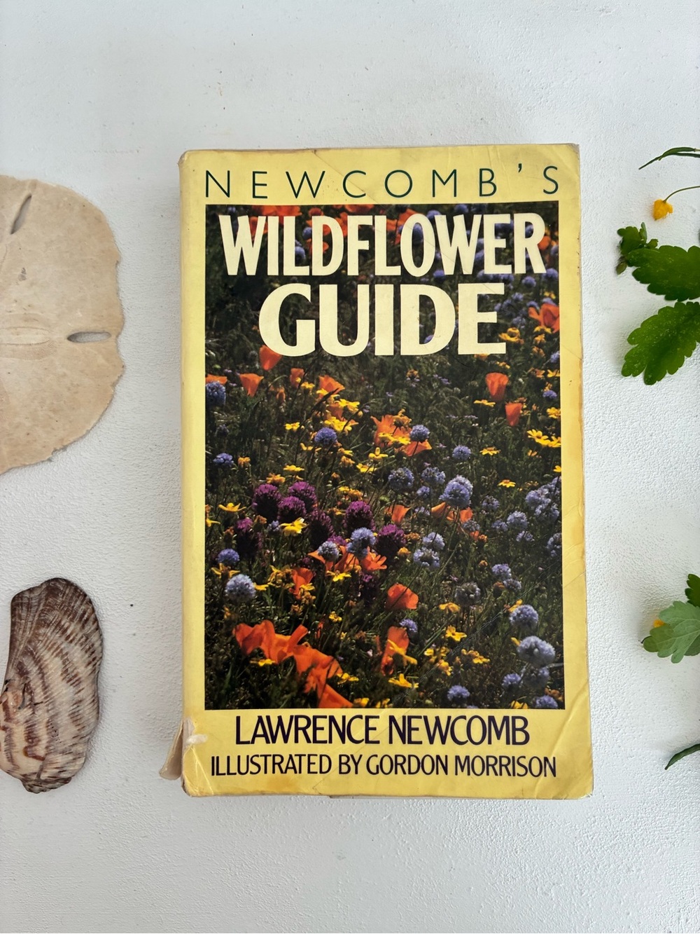 Newcomb's Wildflower Guide - Field soft cover, 1977
